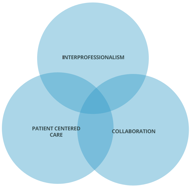 Model Of Care